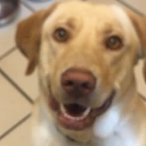 Meet your Posher, Macy